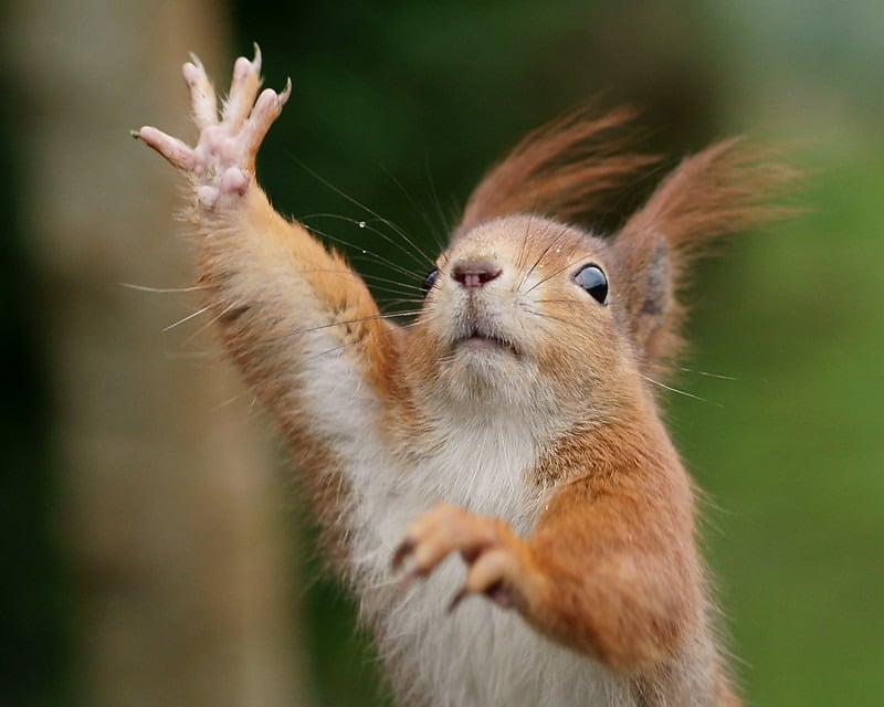 Reaching Out